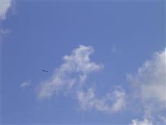PICT1823.JPG